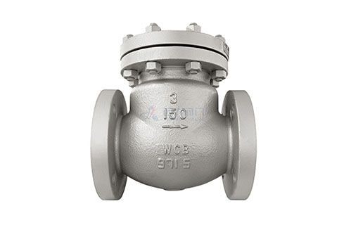 Non-Return Valve (NRV)